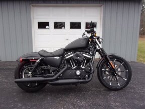 2019 Harley-Davidson Sportster Iron 883 for sale 201209487
