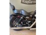 2019 Harley-Davidson Sportster Forty-Eight for sale 201213316