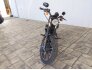 2019 Harley-Davidson Sportster Iron 883 for sale 201242497
