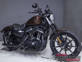 2019 Harley-Davidson Sportster Iron 883 for sale 201263332