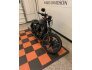 2019 Harley-Davidson Sportster Iron 883 for sale 201271717