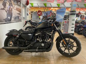 2019 Harley-Davidson Sportster Iron 883 for sale 201277604