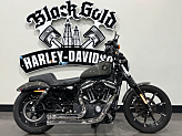 2019 Harley-Davidson Sportster Iron 883 for sale 201613311