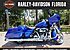 2019 Harley-Davidson Touring Road Glide for sale 200630084