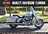 2019 Harley-Davidson Touring Road King for sale 200643242