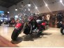2019 Harley-Davidson Touring Road King for sale 201103987