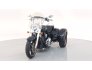 2019 Harley-Davidson Trike Freewheeler for sale 201251194