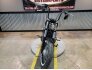 2019 Harley-Davidson Other Harley-Davidson Models for sale 201251566