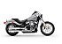 New 2019 Harley-Davidson Softail