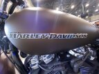 Thumbnail Photo 3 for 2019 Harley-Davidson Softail Breakout 114