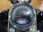 Thumbnail Photo 18 for 2019 Harley-Davidson Softail Low Rider