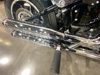 Thumbnail Photo 19 for 2019 Harley-Davidson Softail Low Rider