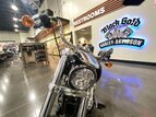 Thumbnail Photo 1 for 2019 Harley-Davidson Softail Low Rider