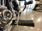 Thumbnail Photo 24 for 2019 Harley-Davidson Softail Low Rider