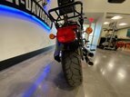 Thumbnail Photo 1 for 2019 Harley-Davidson Softail Low Rider