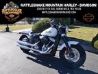 Thumbnail Photo 18 for 2019 Harley-Davidson Softail Slim