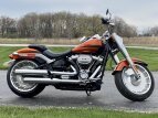 Thumbnail Photo 0 for 2019 Harley-Davidson Softail Fat Boy 114
