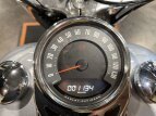 Thumbnail Photo 18 for 2019 Harley-Davidson Softail Deluxe
