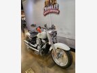 Thumbnail Photo 19 for 2019 Harley-Davidson Softail