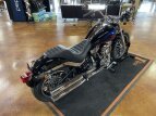 Thumbnail Photo 7 for 2019 Harley-Davidson Softail Low Rider