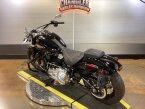 Thumbnail Photo 5 for 2019 Harley-Davidson Softail Slim