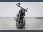 Thumbnail Photo 2 for 2019 Harley-Davidson Softail