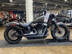 Thumbnail Photo 4 for 2019 Harley-Davidson Softail