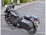 2019 Harley-Davidson Softail Heritage Classic 114 for sale 201140950