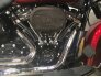 2019 Harley-Davidson Softail Heritage Classic 114 for sale 201186934