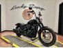 2019 Harley-Davidson Softail Street Bob for sale 201209438