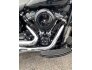 2019 Harley-Davidson Softail Heritage Classic for sale 201245320