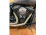 2019 Harley-Davidson Softail FXDR 114 for sale 201272523