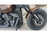 2019 Harley-Davidson Softail Fat Bob 114 for sale 201278421