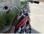 2019 Harley-Davidson Softail Deluxe for sale 201289887