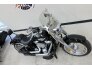 2019 Harley-Davidson Softail Fat Boy 114 for sale 201296183