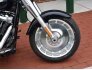 2019 Harley-Davidson Softail for sale 201296453