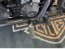 2019 Harley-Davidson Softail Street Bob for sale 201303339