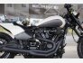 2019 Harley-Davidson Softail FXDR 114 for sale 201320192