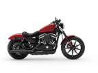 Thumbnail Photo 5 for New 2019 Harley-Davidson Sportster