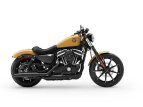 Thumbnail Photo 3 for New 2019 Harley-Davidson Sportster