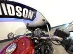 Thumbnail Photo 10 for 2019 Harley-Davidson Sportster Roadster