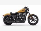 Thumbnail Photo 16 for 2019 Harley-Davidson Sportster Iron 883