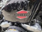 Thumbnail Photo 31 for 2019 Harley-Davidson Sportster Forty-Eight