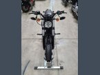 Thumbnail Photo 4 for 2019 Harley-Davidson Sportster Forty-Eight