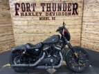 Thumbnail Photo 1 for 2019 Harley-Davidson Sportster Iron 883