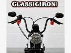 Thumbnail Photo 7 for 2019 Harley-Davidson Sportster Iron 883