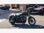 Thumbnail Photo 64 for 2019 Harley-Davidson Sportster Iron 883
