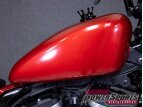 Thumbnail Photo 17 for 2019 Harley-Davidson Sportster Iron 883