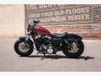 Thumbnail Photo 20 for 2019 Harley-Davidson Sportster