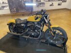 Thumbnail Photo undefined for 2019 Harley-Davidson Sportster